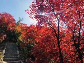 დ释怀დ主播照片