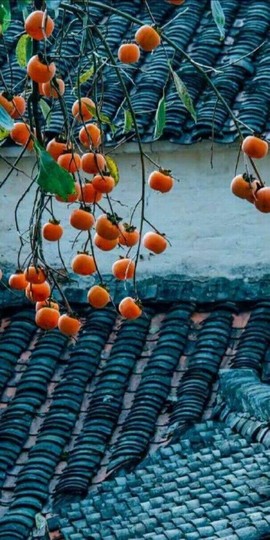 დ释怀დ主播照片