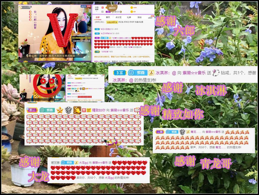紫薇☆☆音乐频道的图片