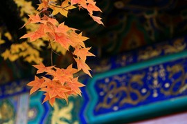 拾月★October主播照片