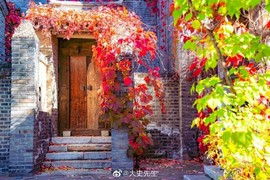 拾月★October主播照片