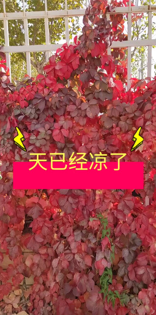 谢谢