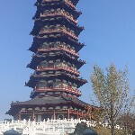 地球村居民海报