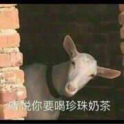 开心♛色色主播照片