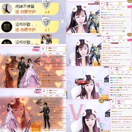 一只雁~主播照片