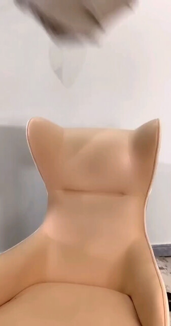 在每一个日升日落的日子，给世界