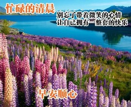 馨香梦梦主播照片