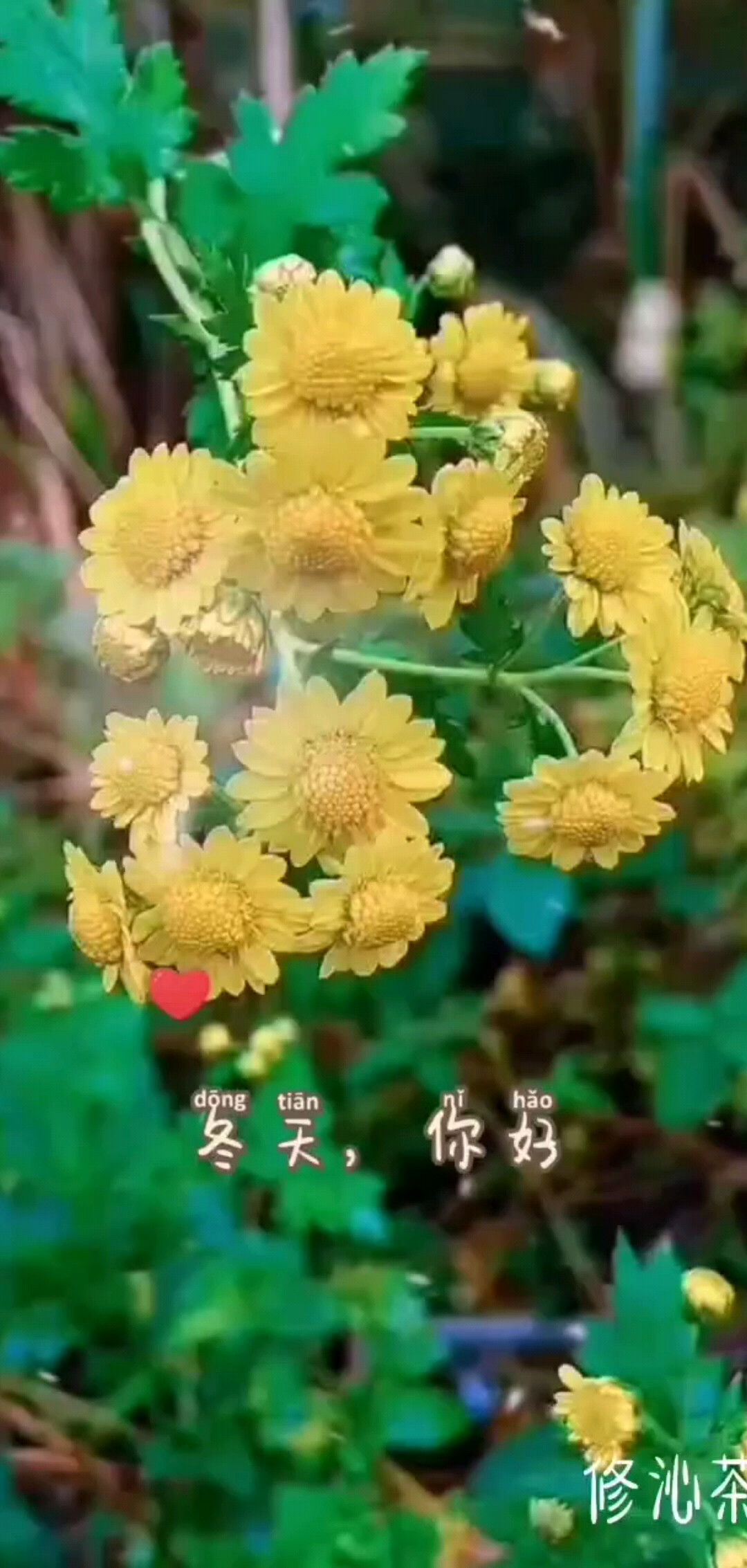 期待