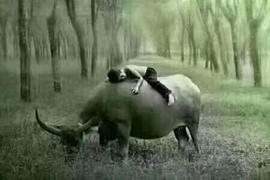上官暂休(调整心态）主播照片