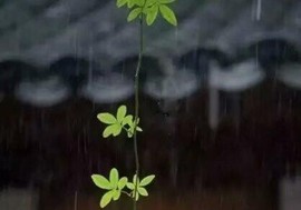 დ释怀დ主播照片
