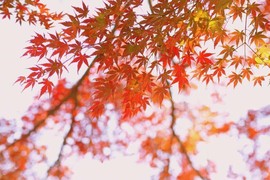 დ释怀დ主播照片