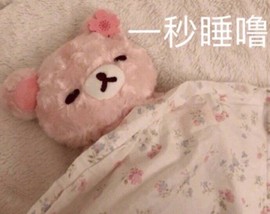 雯雯退主播照片