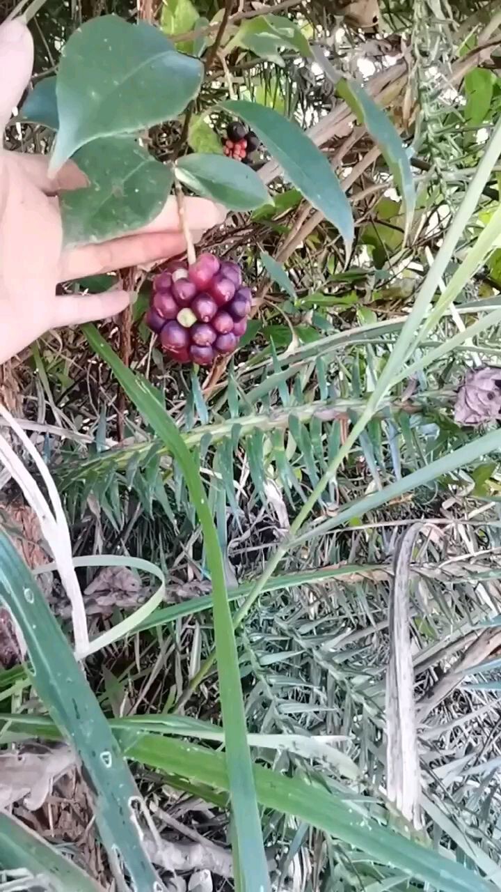 MobE47628v的主播照片