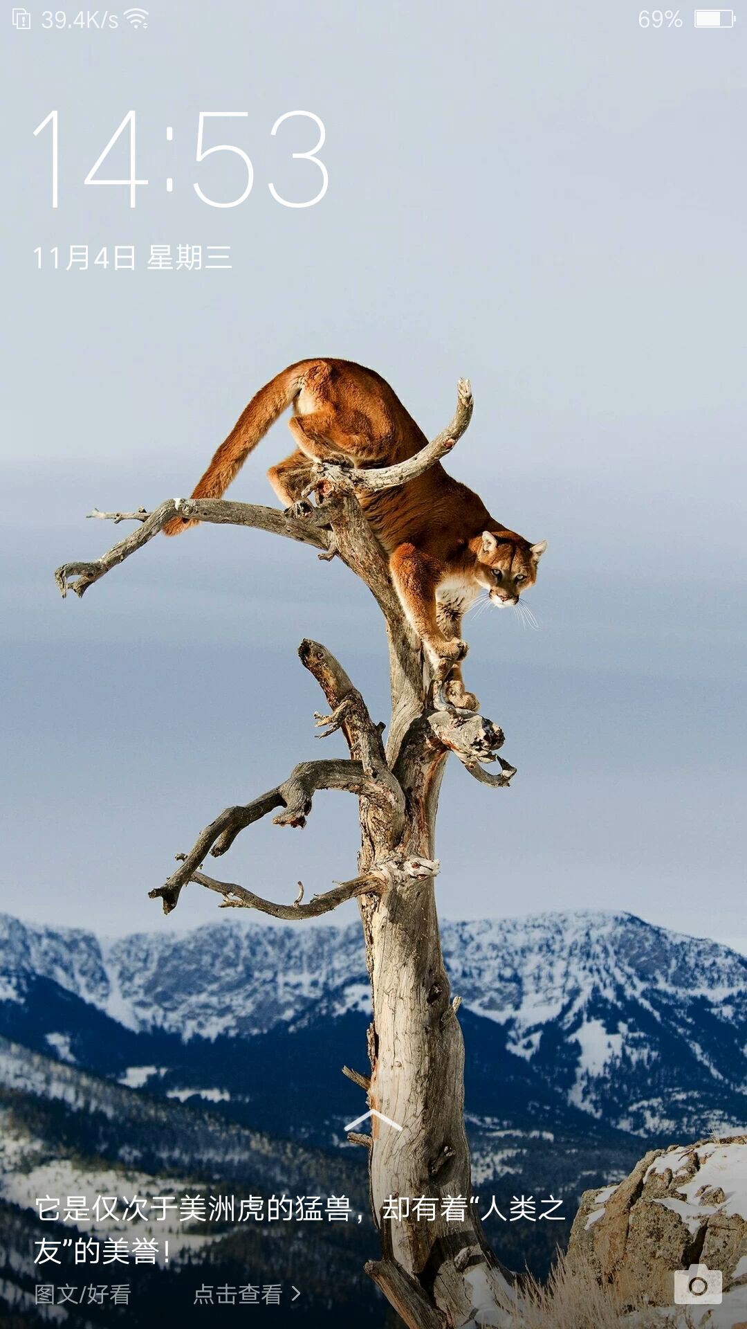 丑燕子的主播照片