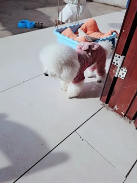 婷妹外卖小姐姐主播照片