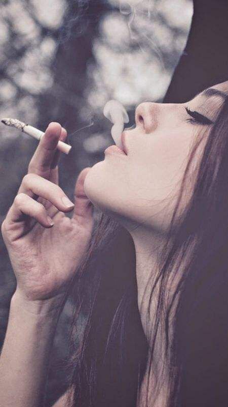 老酒馆里慵懒の猫的图片