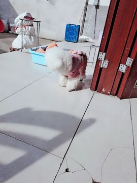 婷妹外卖小姐姐主播照片