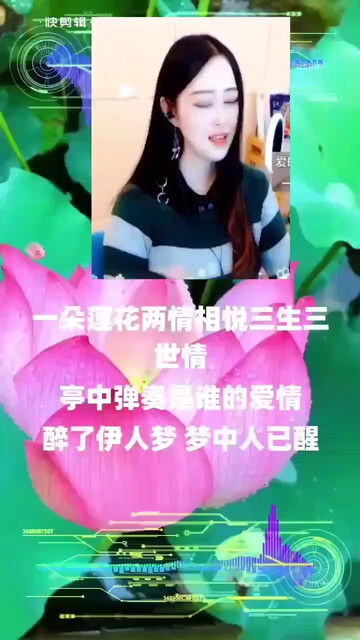 莲花亭