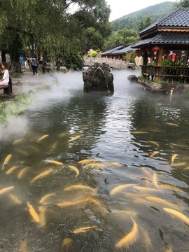 心动ぐつ媚儿的图片
