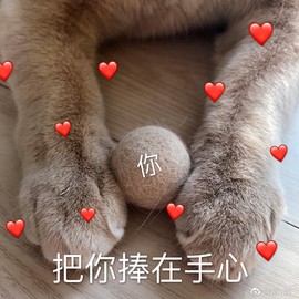 雯雯退主播照片