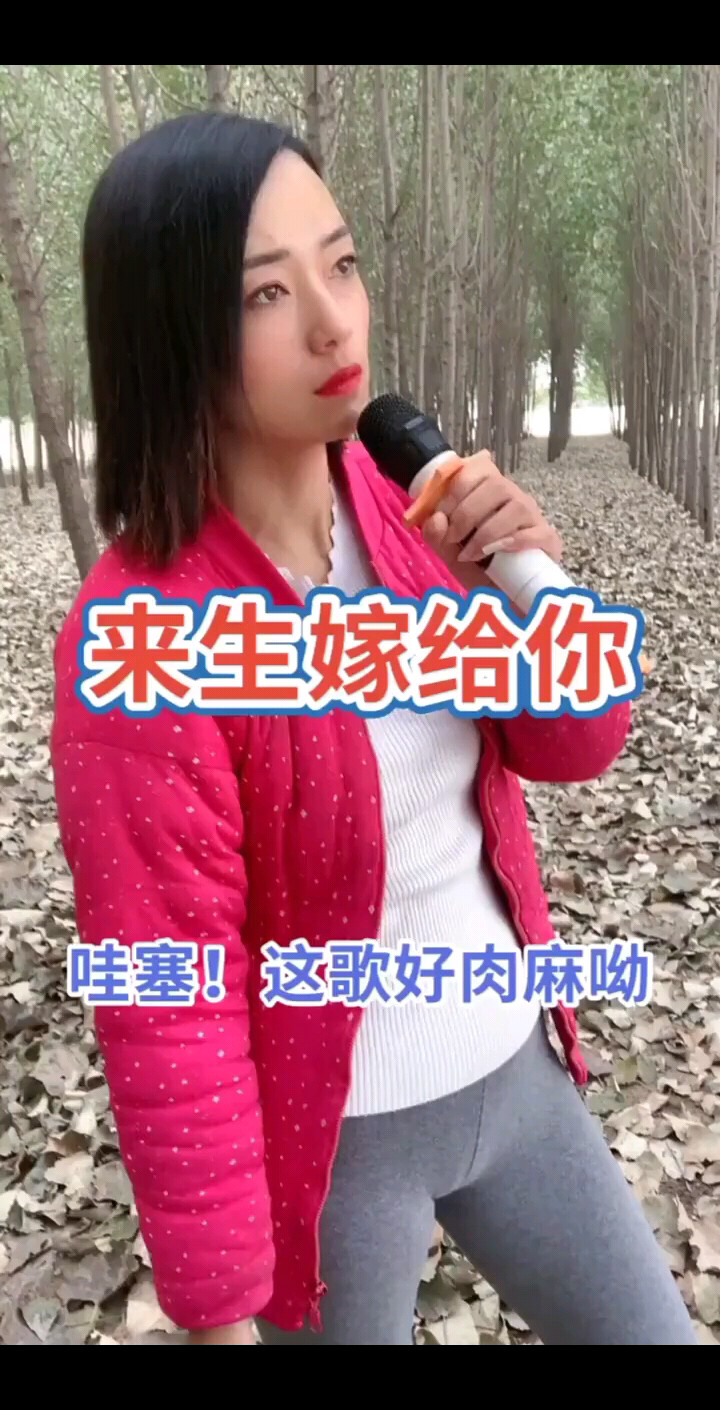 来生再续缘