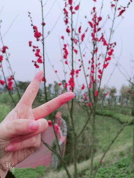 安琪同学主播照片