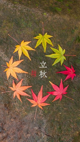 超持久“桑拿天”来了主播照片