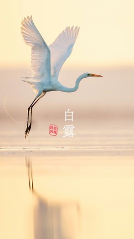 超持久“桑拿天”来了主播照片