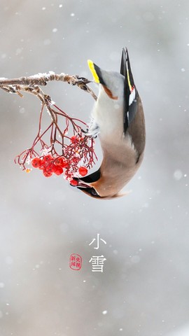 超持久“桑拿天”来了主播照片