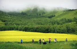 一秒钟の记忆主播照片