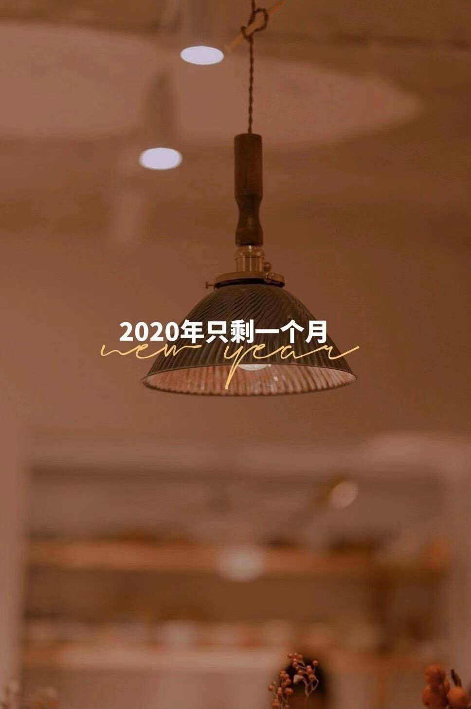 安琪同学的图片