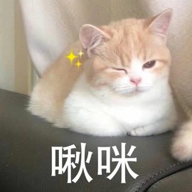 雯雯退主播照片