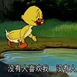 霹雳球休主播照片