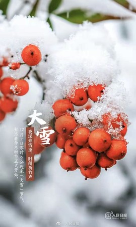 高山上的雪！！主播照片