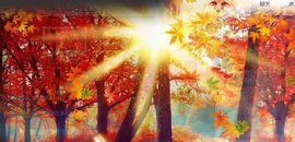 蒙多～主播照片