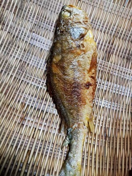 小艾回湖北不定时播主播照片