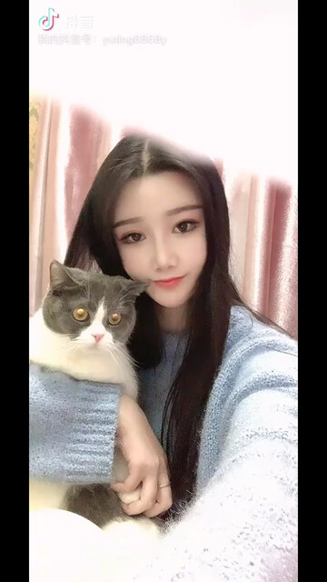 來我家擼貓??！