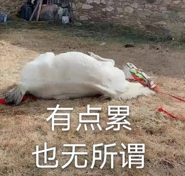 鑫儿～主播照片