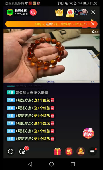 缅甸琥珀