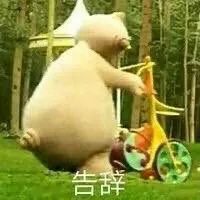 鑫鑫不相親的主播照片