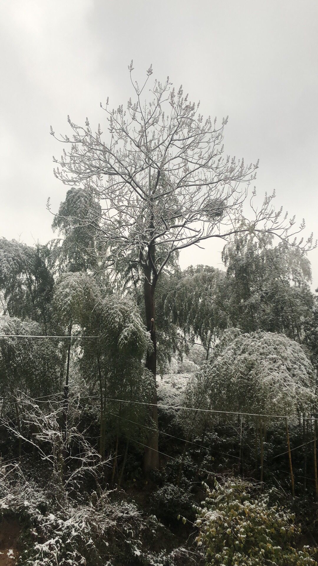 ♚~小巴豆~贪财好色的图片