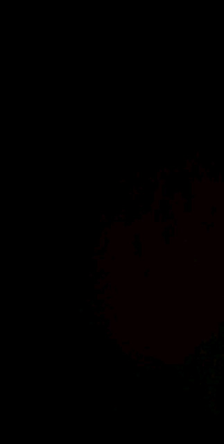 好久不见