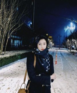 红墙白雪确实喜欢的图片