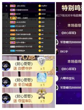 喵崽小花猫主播照片