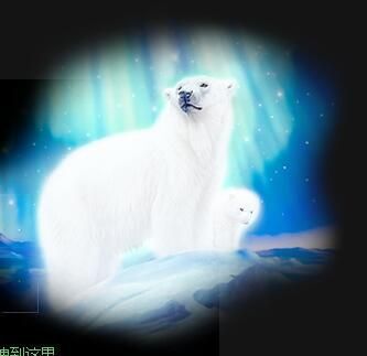 丑小鸭💞愿有一束光的图片