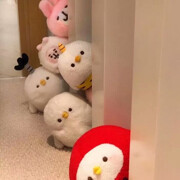 看不见我。.