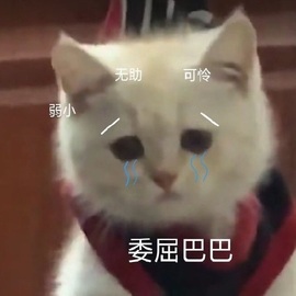 肥肥小豆芽😈退了主播照片