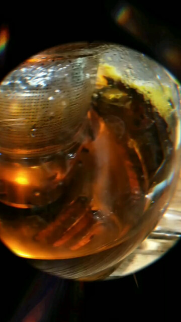 万丈红尘一杯酒，千秋