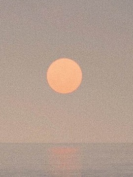 凡音🧡歌手加油主播照片