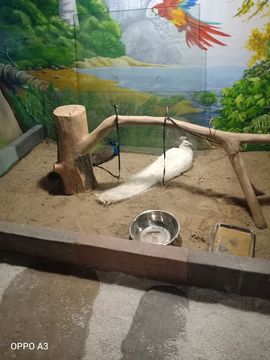 爱在晚秋🐲（关关）的图片